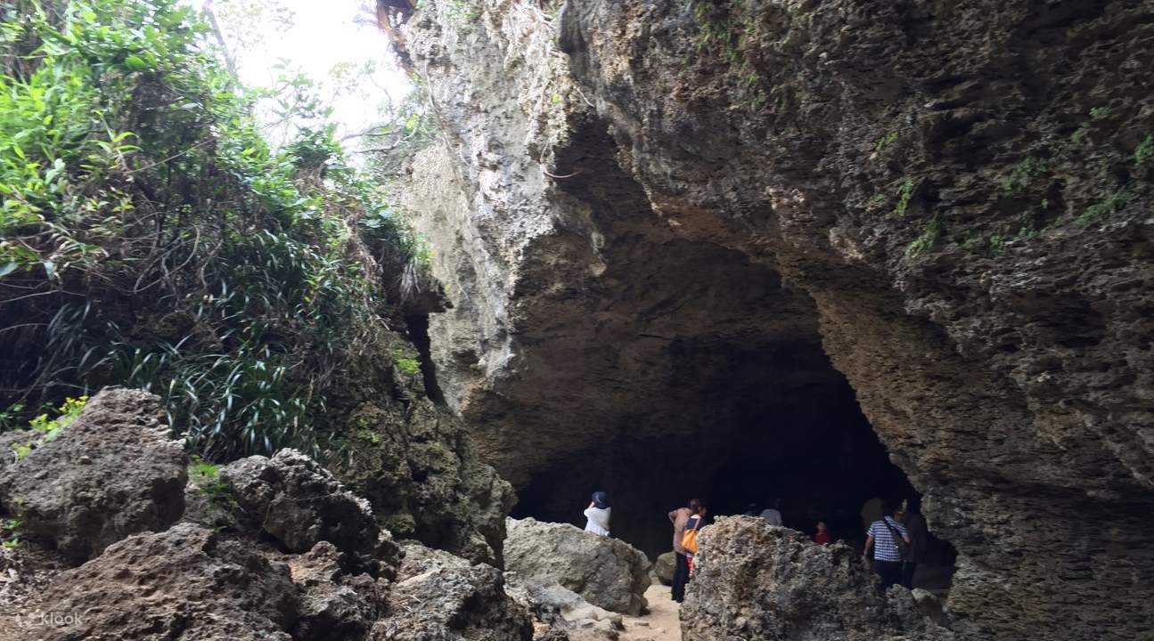 伊江島ゆり祭り日帰りツアーの予約 現地サイクリングプラン有り Klook 伊江島ゆり祭り日帰りツアーの予約 現地サイクリングプラン有り Klook