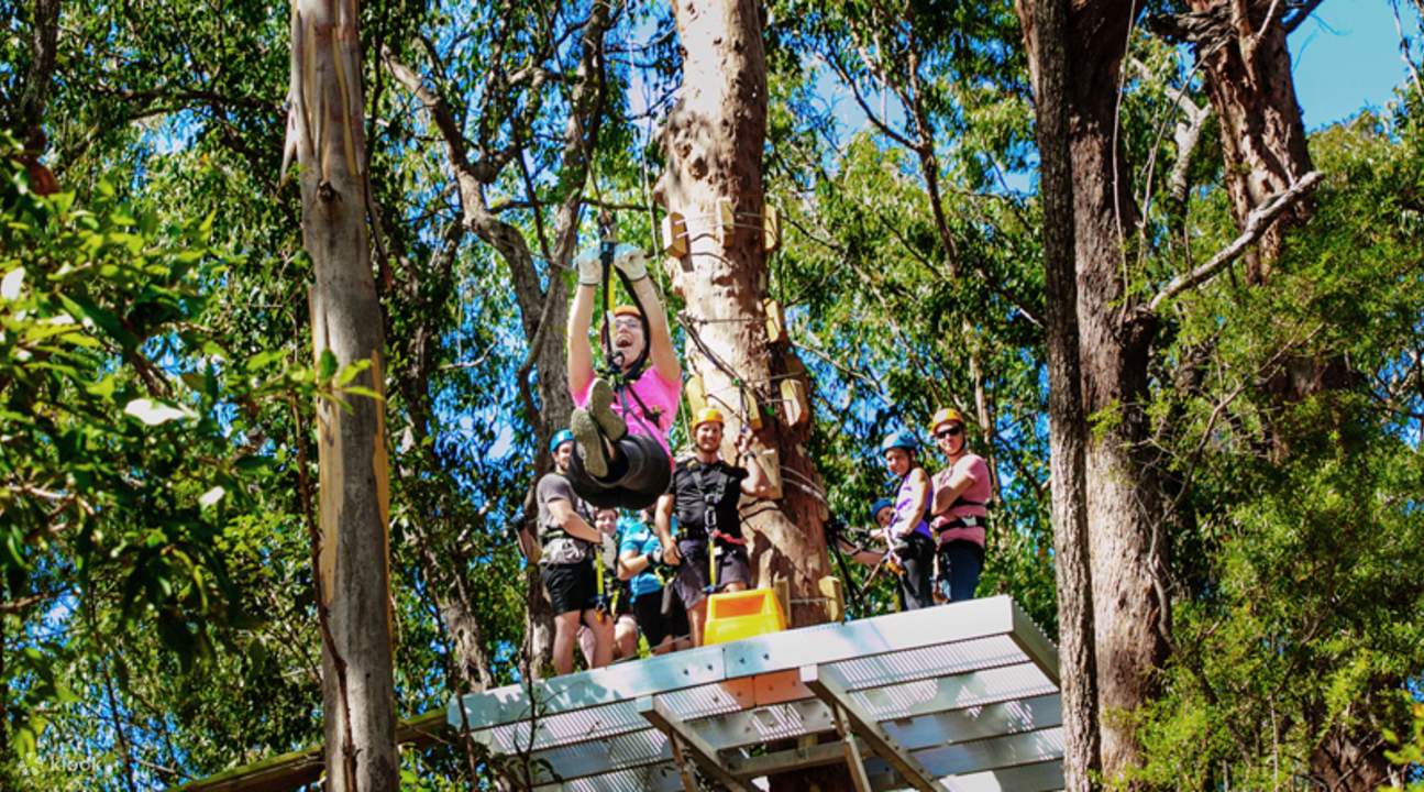 Tour Zipline Có Hướng Dẫn Canyon Flyer Gold Coast