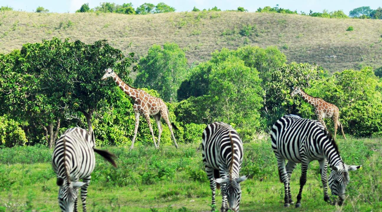 Calauit Game Refuge and Wildlife Sanctuary