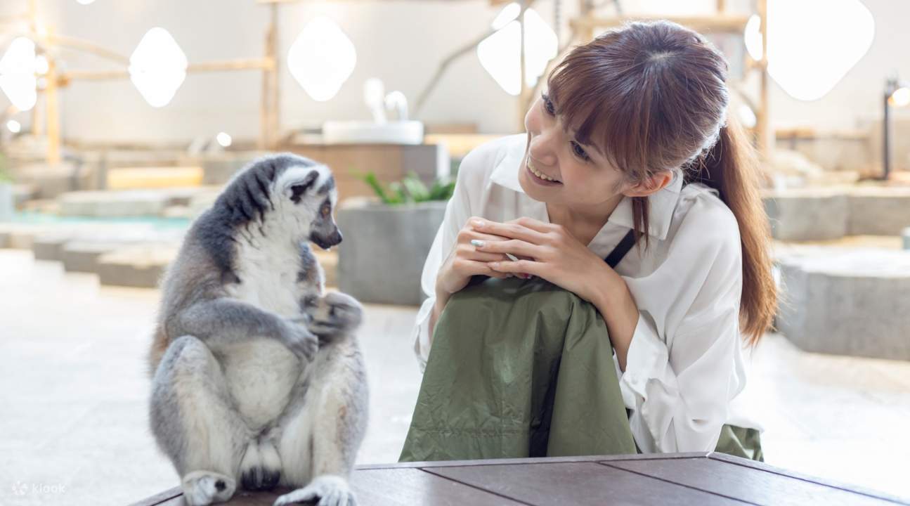 大阪海遊館 NIFREL 門票