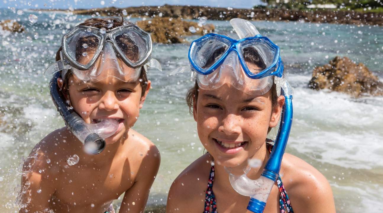 Hanauma Bay Snorkeling with Transfers to/from Waikiki Klook