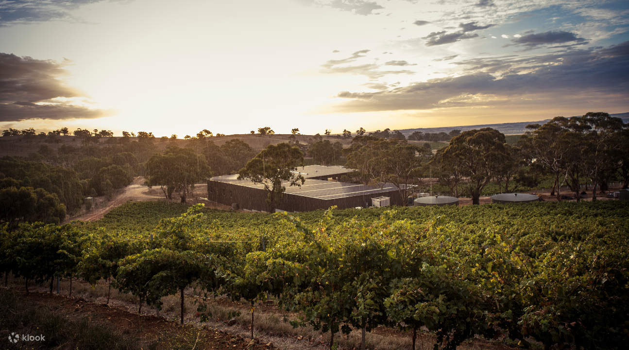 Barossa Food and Wine Tour from Adelaide Klook