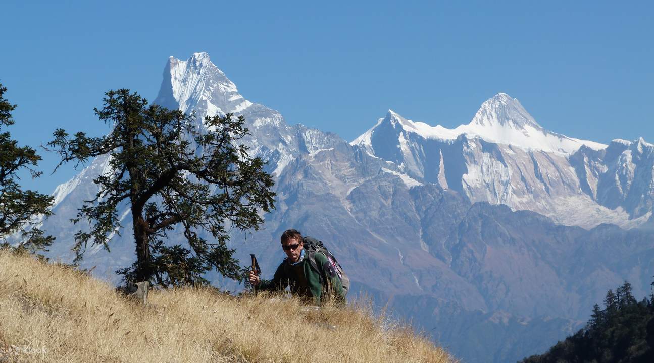 поход Горепани Пун Хилл Трек