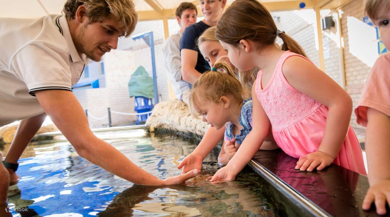 Les enfants profitent de la piscine tactile de l'Aquarium d'Australie occidentale