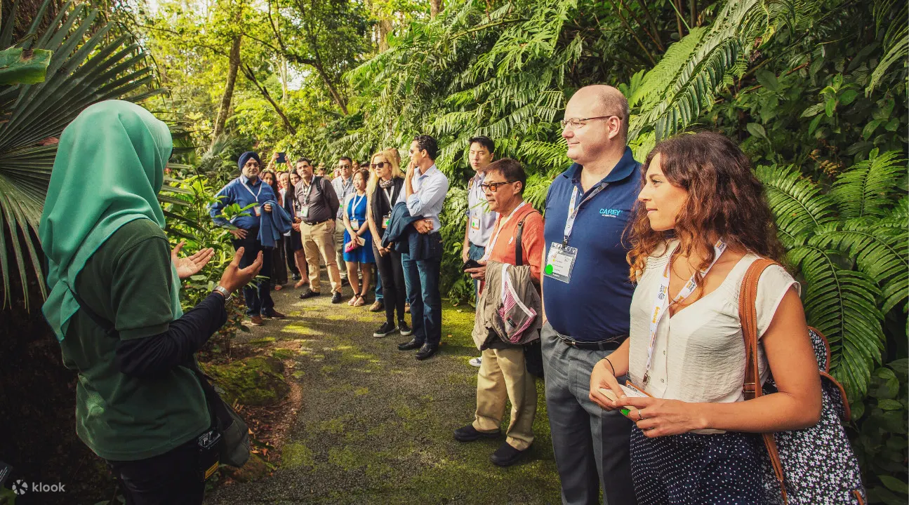 tourists and guide looking at plants in the habitat