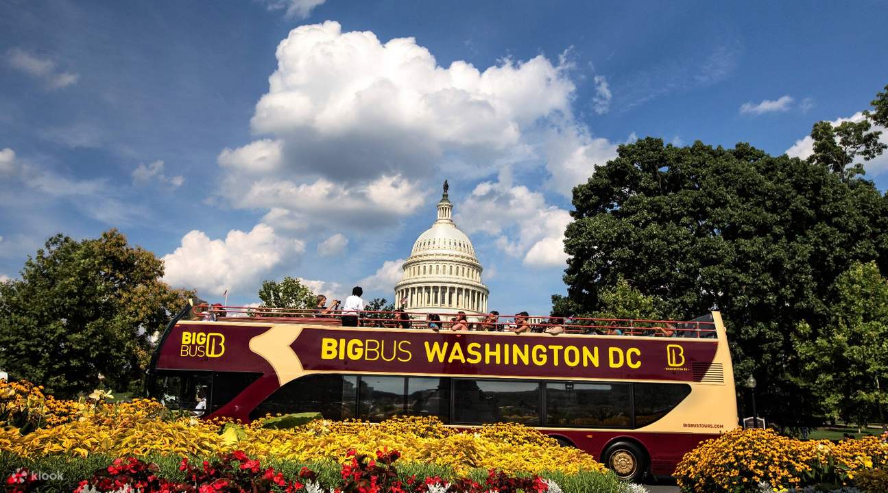 Big Bus Washington Dc Map Washington Dc Big Bus Hop-On Hop-Off Tours (Open-Top) - Klook New Zealand