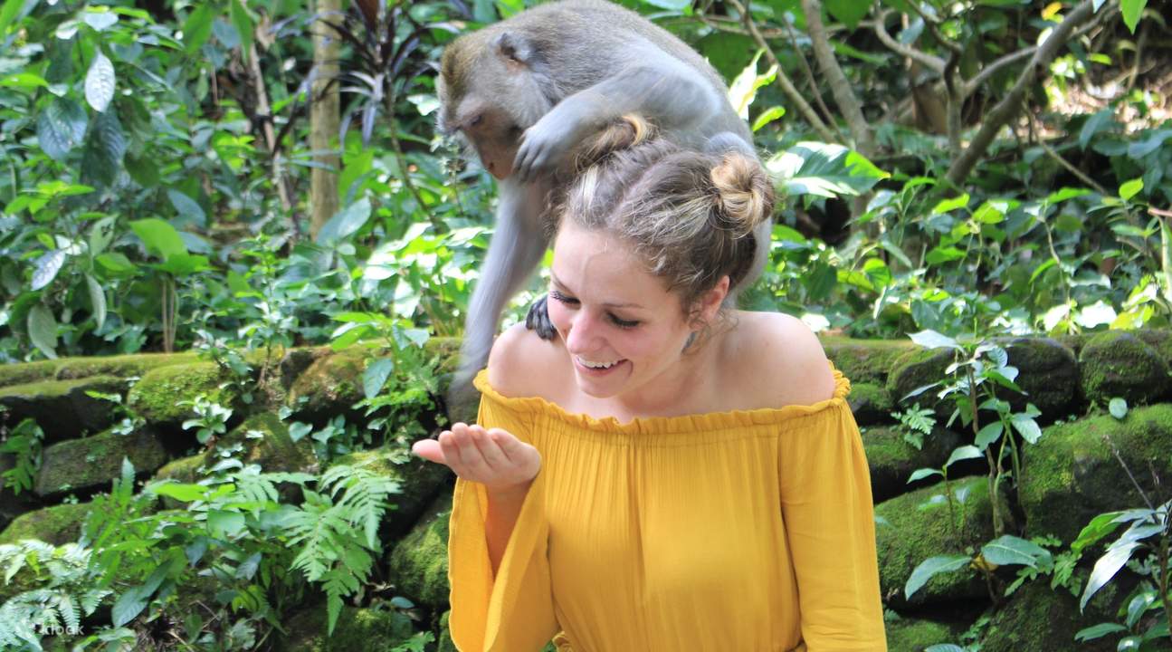 Tegalalang Rijstveld en Apenbos Dagtour in Ubud, Bali, Indonesië ...