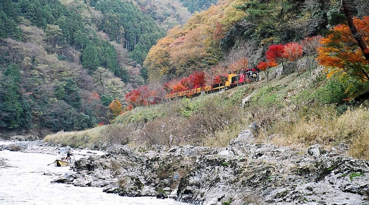 a view of the Sagano Romantic Train passing through an autumn foliage plus a view of of the Hozugawa River