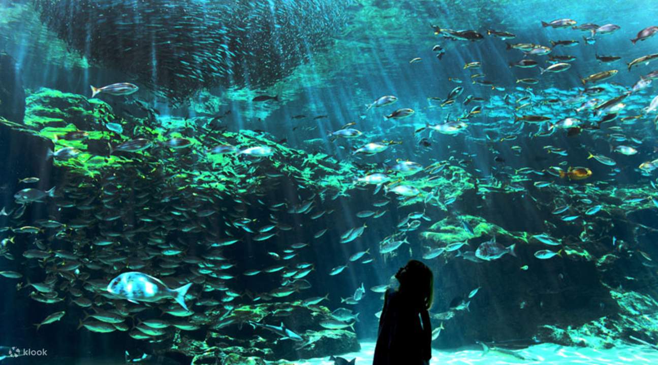 acquario di kujukushima nagasaki