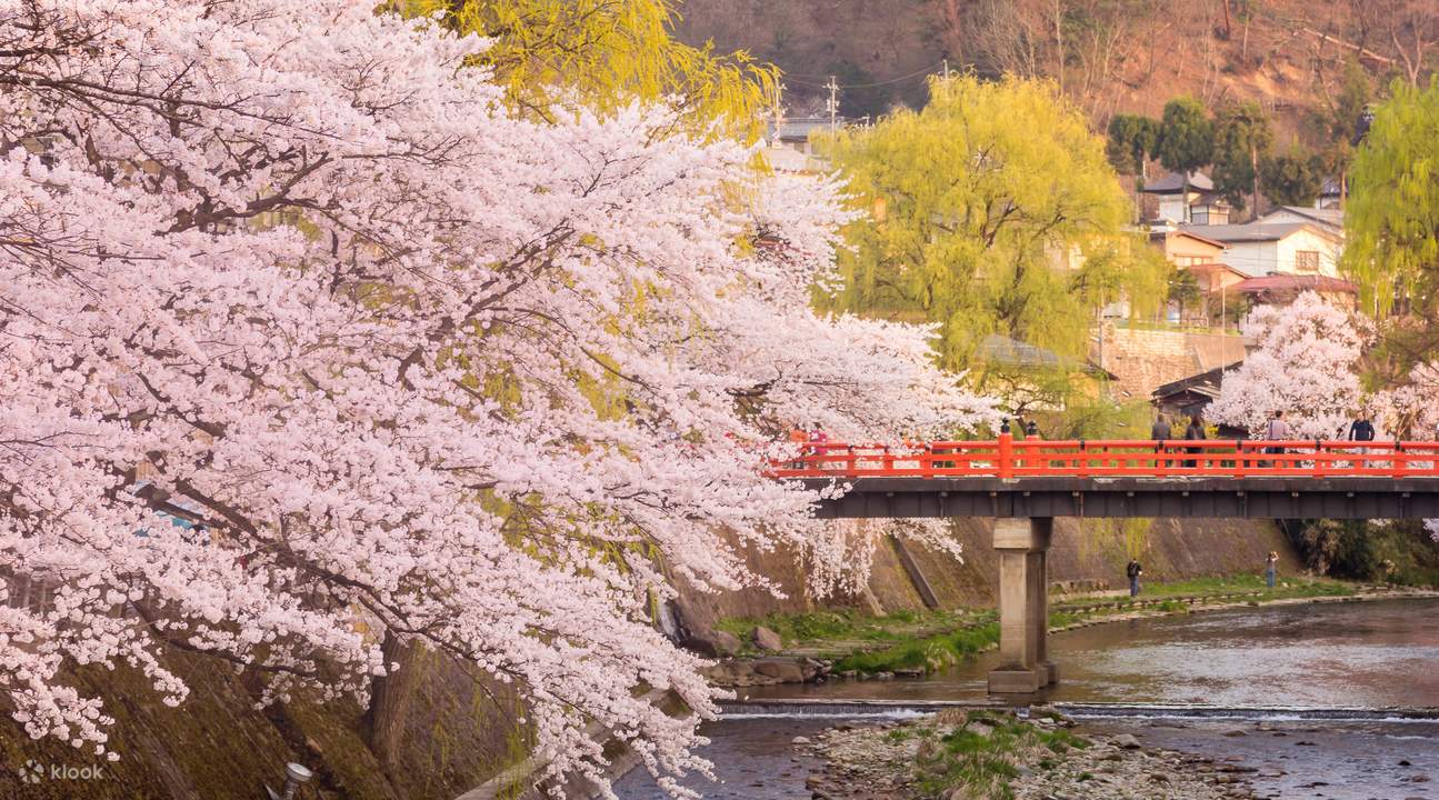 Takayama Spring Festival & Shirakawago Day Tour Klook Philippines