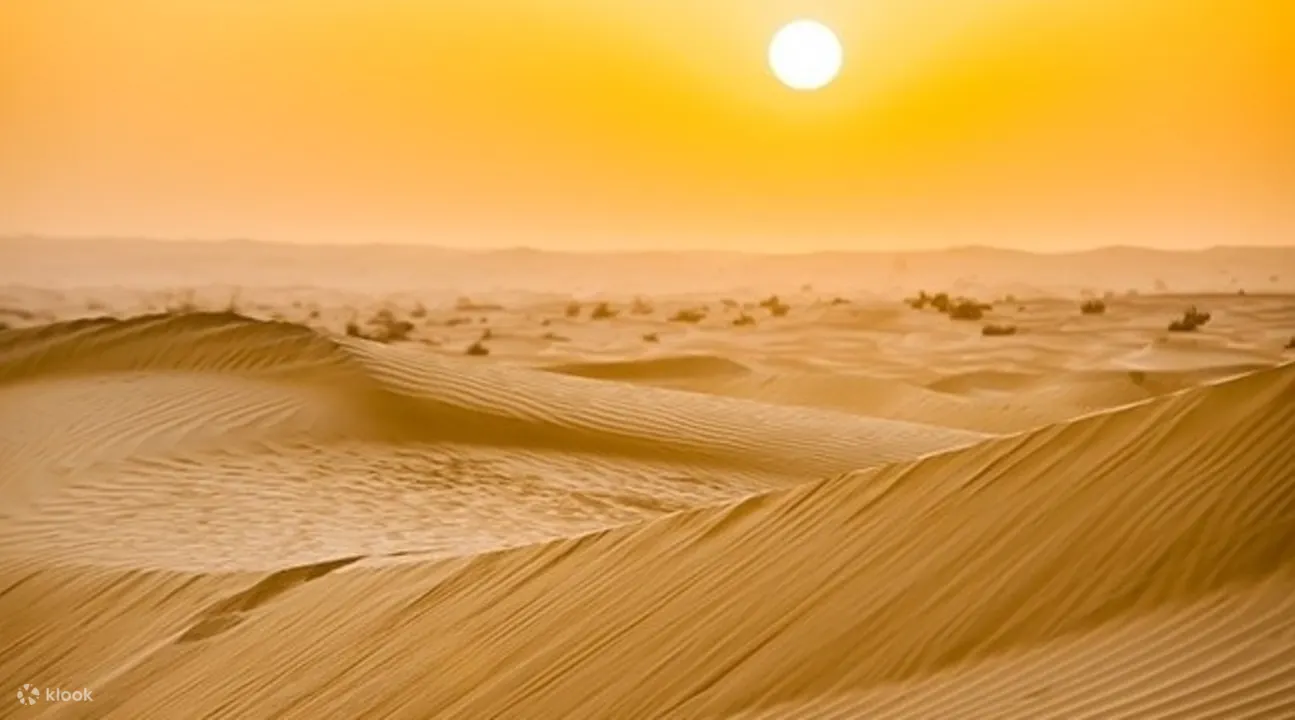 迪拜清晨沙漠冲沙之旅 Klook客路