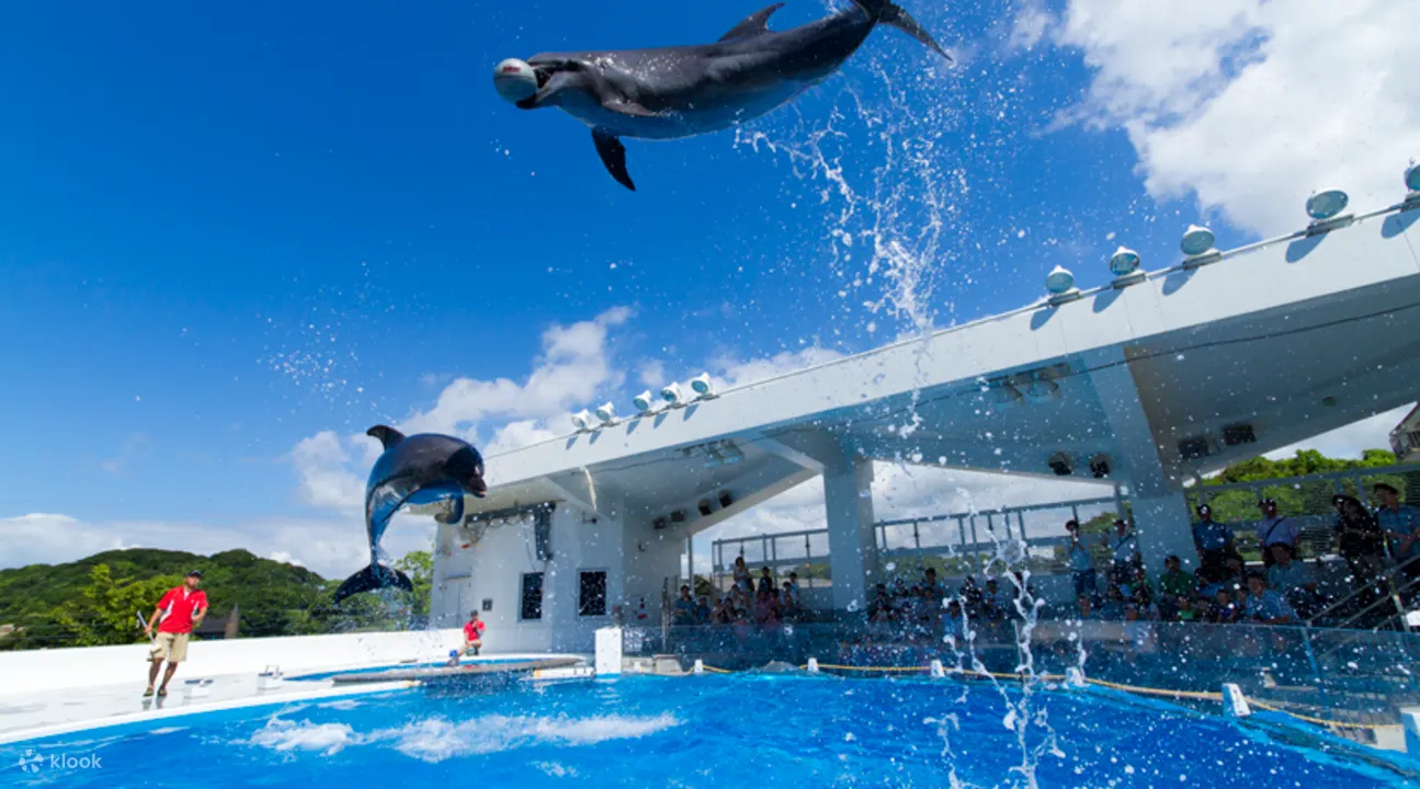 kujukushima aquarium nagasaki