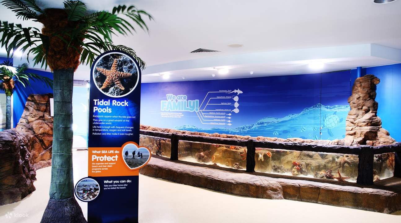 SEA LIFE Sunshine Coast 