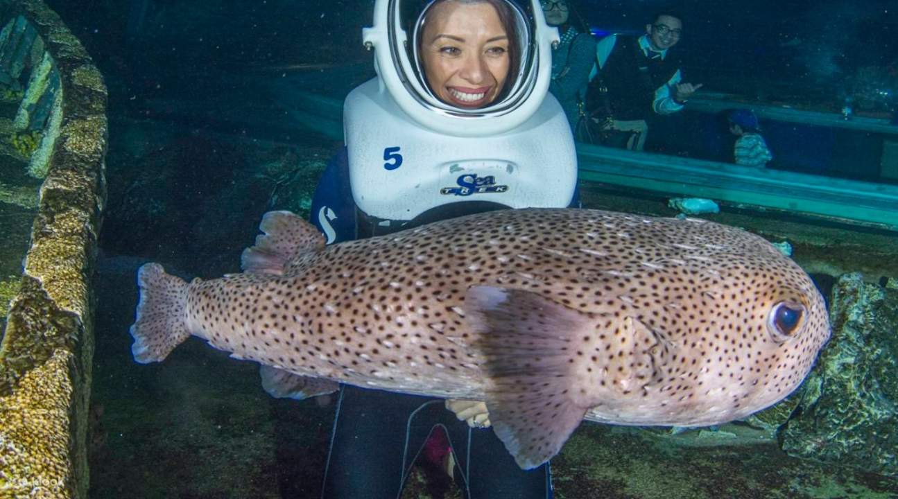 опыт ситрека