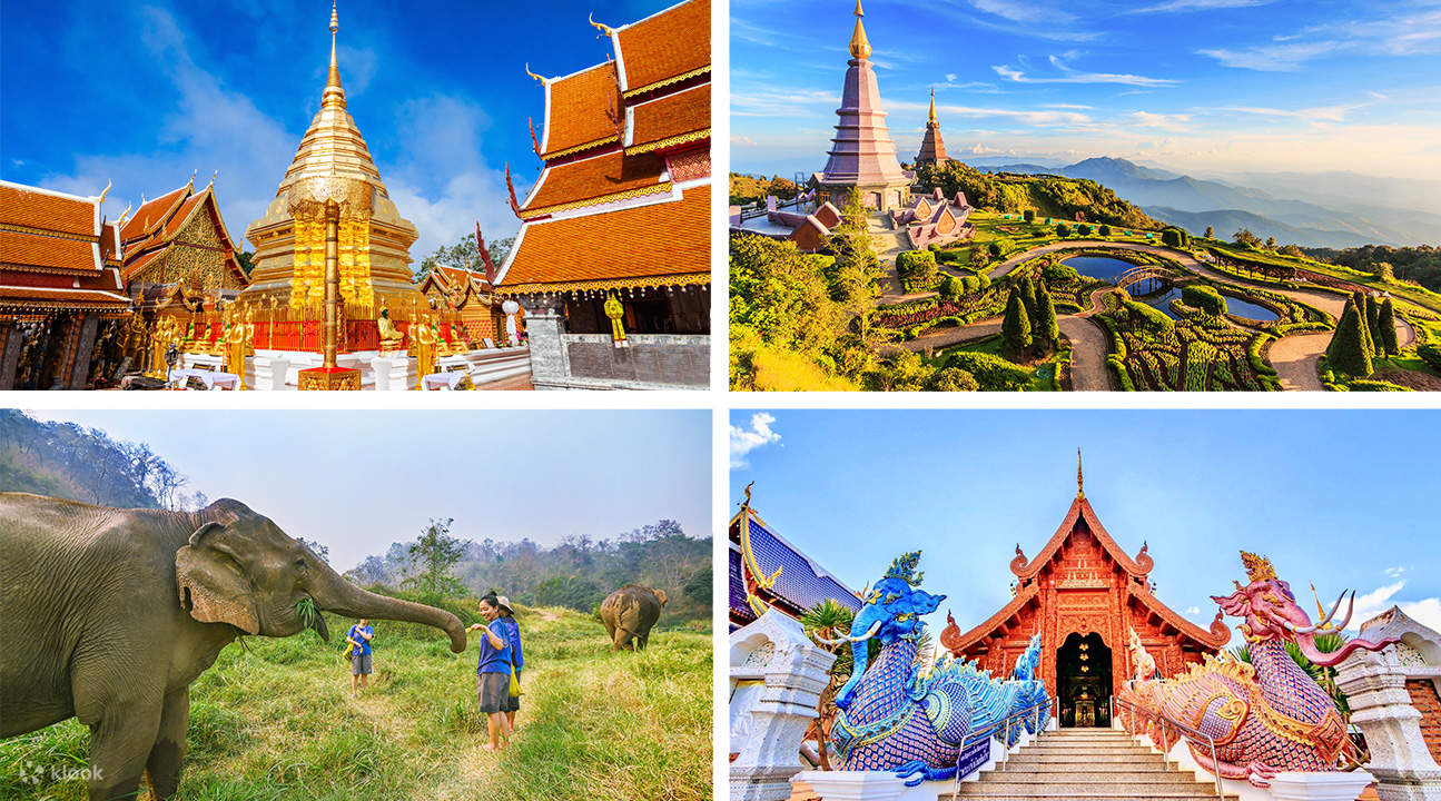 elephant sanctuary, doi inthanon, and temples for the chiang mai custom tour