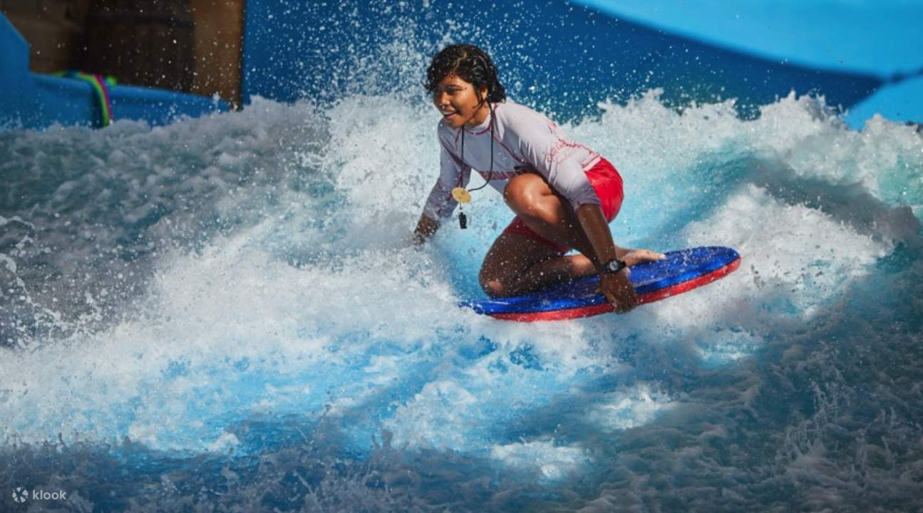 wild wadi water park dubai discount
