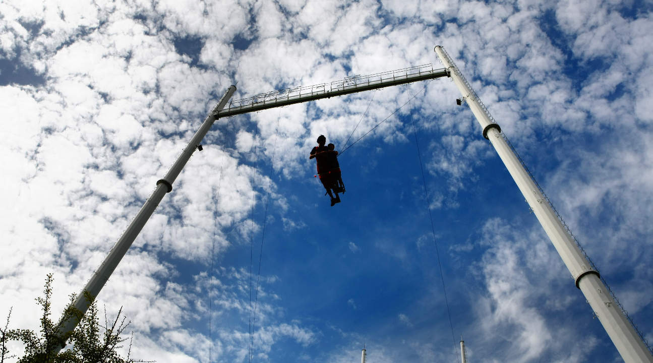 a person taking on Sky X in Seoul Land