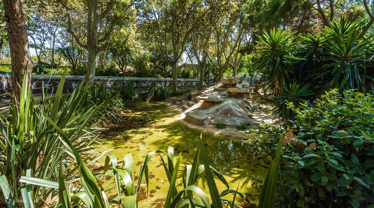 Vé sở thú Barcelona