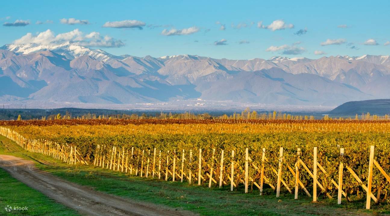 Novkhani Village Wine Tour in Baku, Azerbaijan Klook