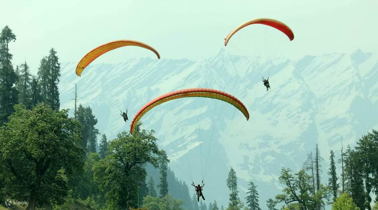 tiga orang paragliding di atas lembah kullu