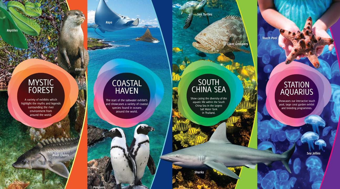 水族馆区域