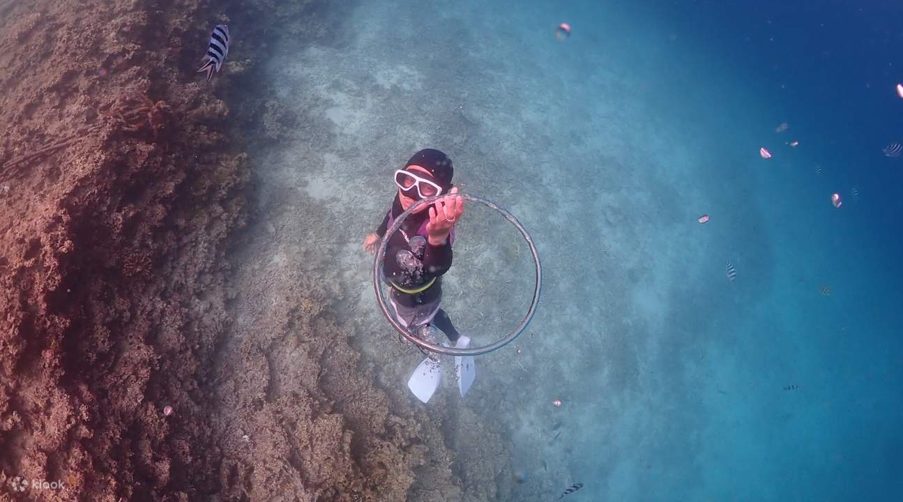 Person, die in der Blauen Höhle Okinawa taucht