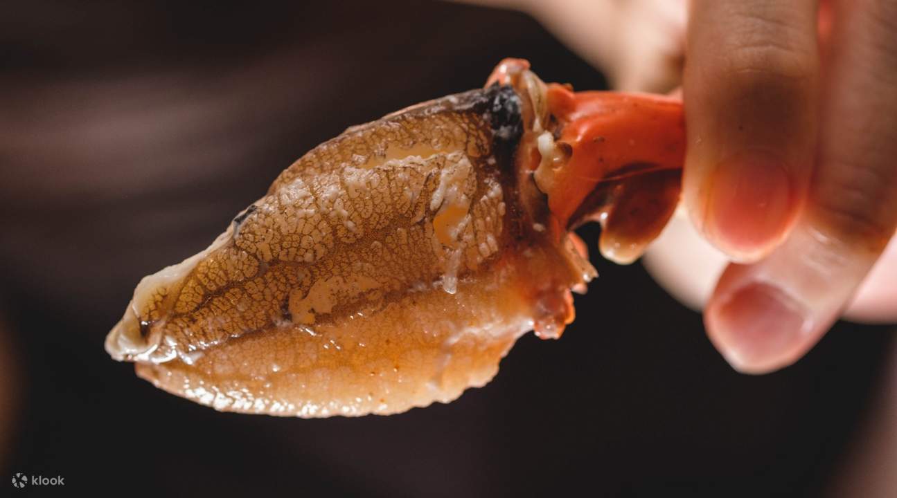 Crab and Claw海鲜,暹罗百丽宫生蚝,泰式海鲜