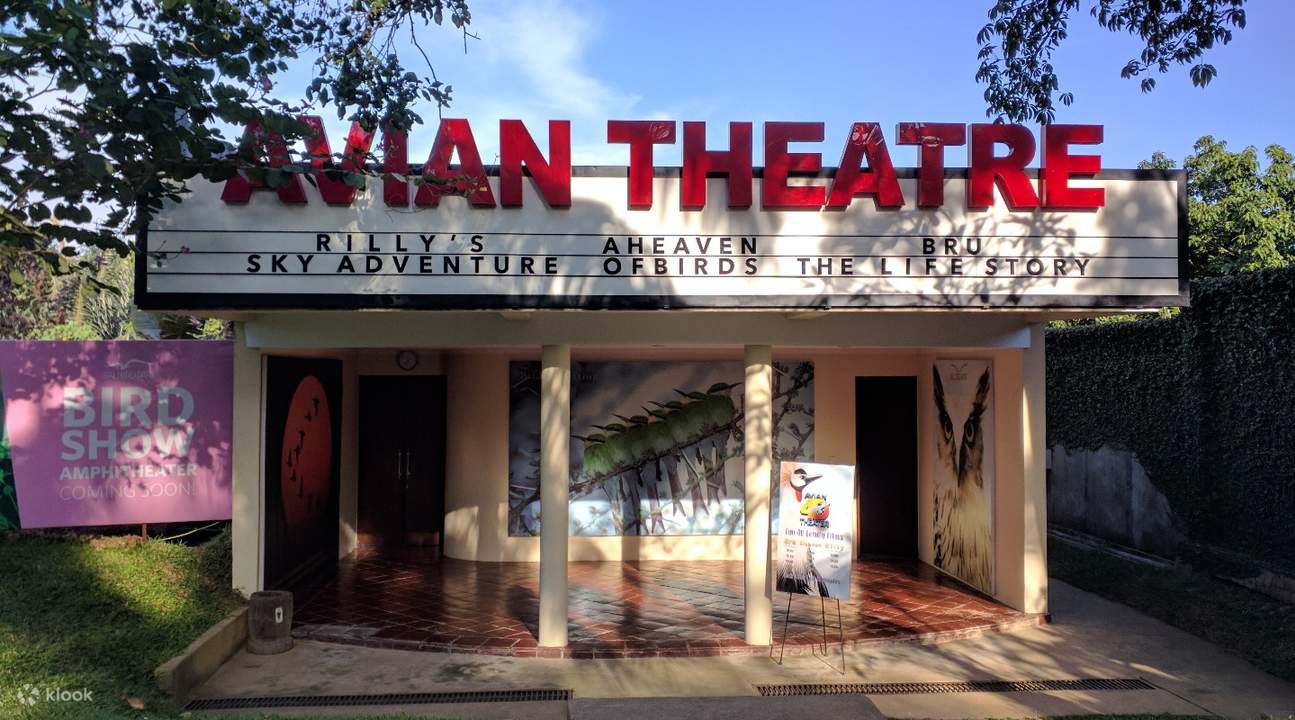 Bali Bird Park - teatro aviar