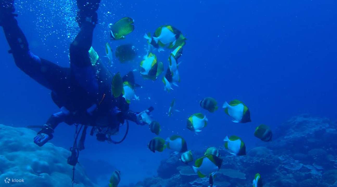 Green Island Boat Diving