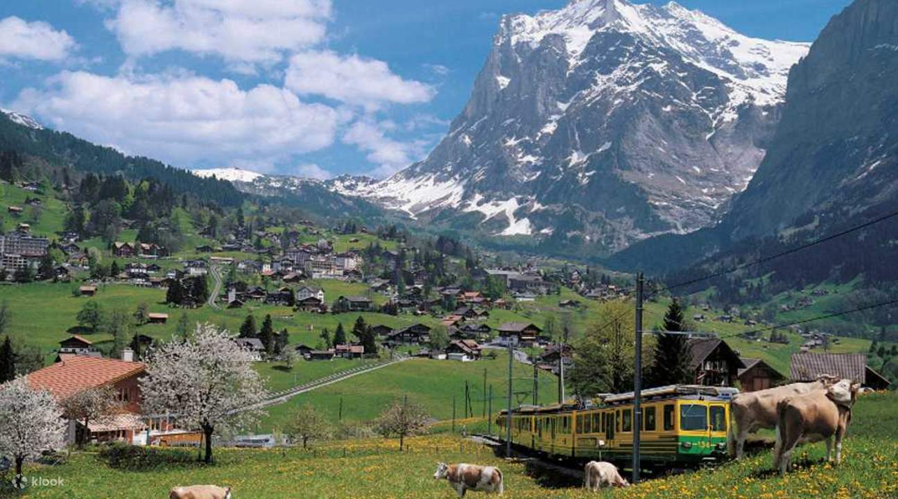Day Trip to Grindelwald and Interlaken (Zurich Departure) Klook