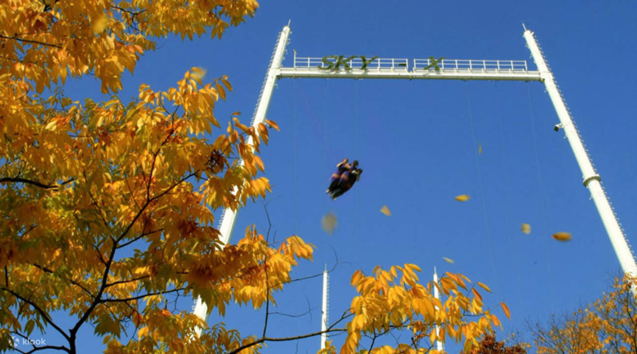 a pair of people taking on Sky X with fall leaves in the background