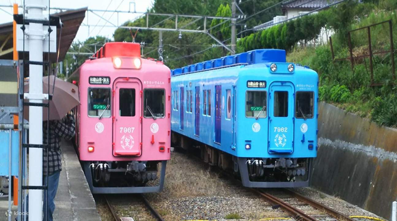 鱼儿装饰列车