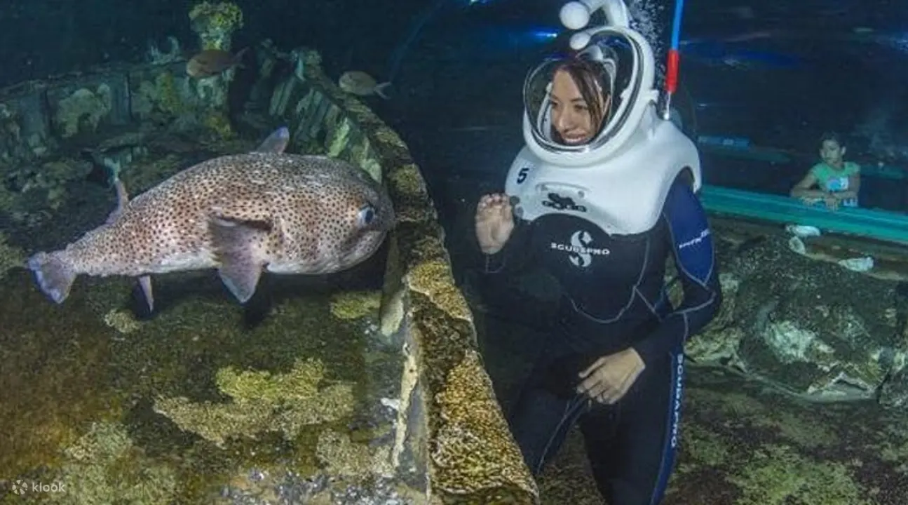 关岛水族馆
