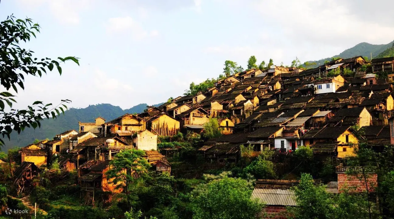 Day 1: Serene Tea Plantations & Authentic Yao Culture - image 2