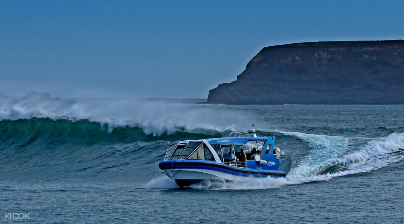 eco boat adventure tour phillip island