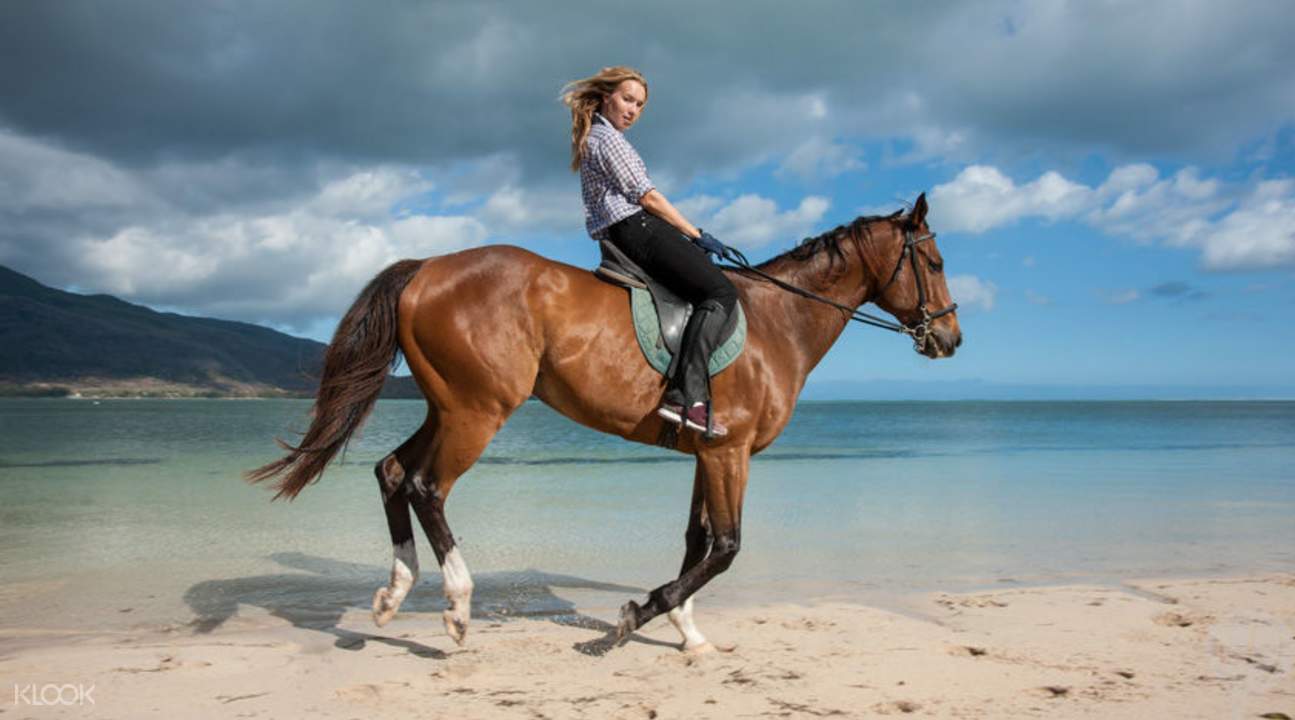 Le Morne Horseback Riding in Mauritius Klook New Zealand