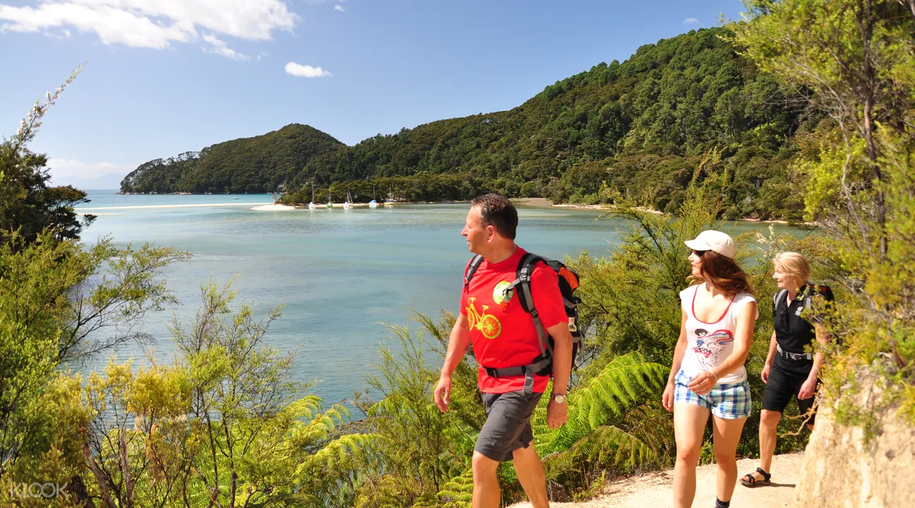 Abel Tasman Seals And Beach