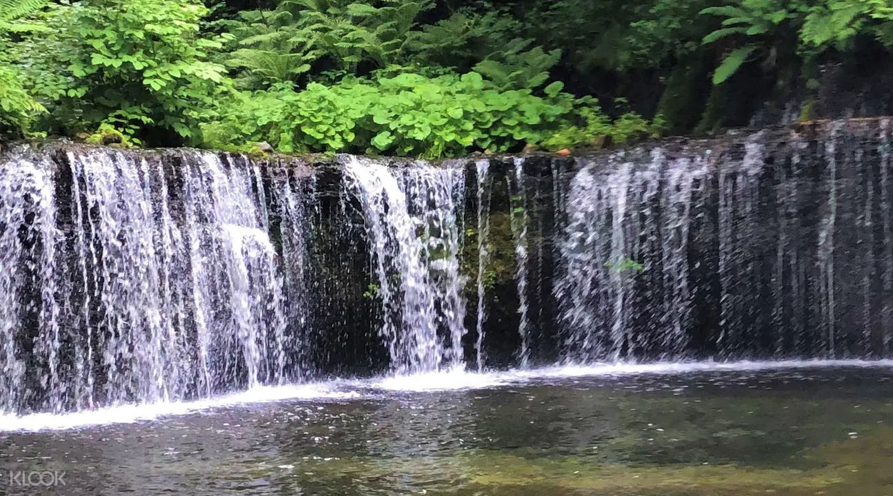 Karuizawa Kumoba Pond And Shiraito Falls Day Tour From Tokyo