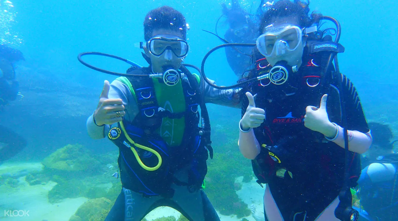 新北 瑞芳東北鼻頭角潛水體驗 Klook客路台灣