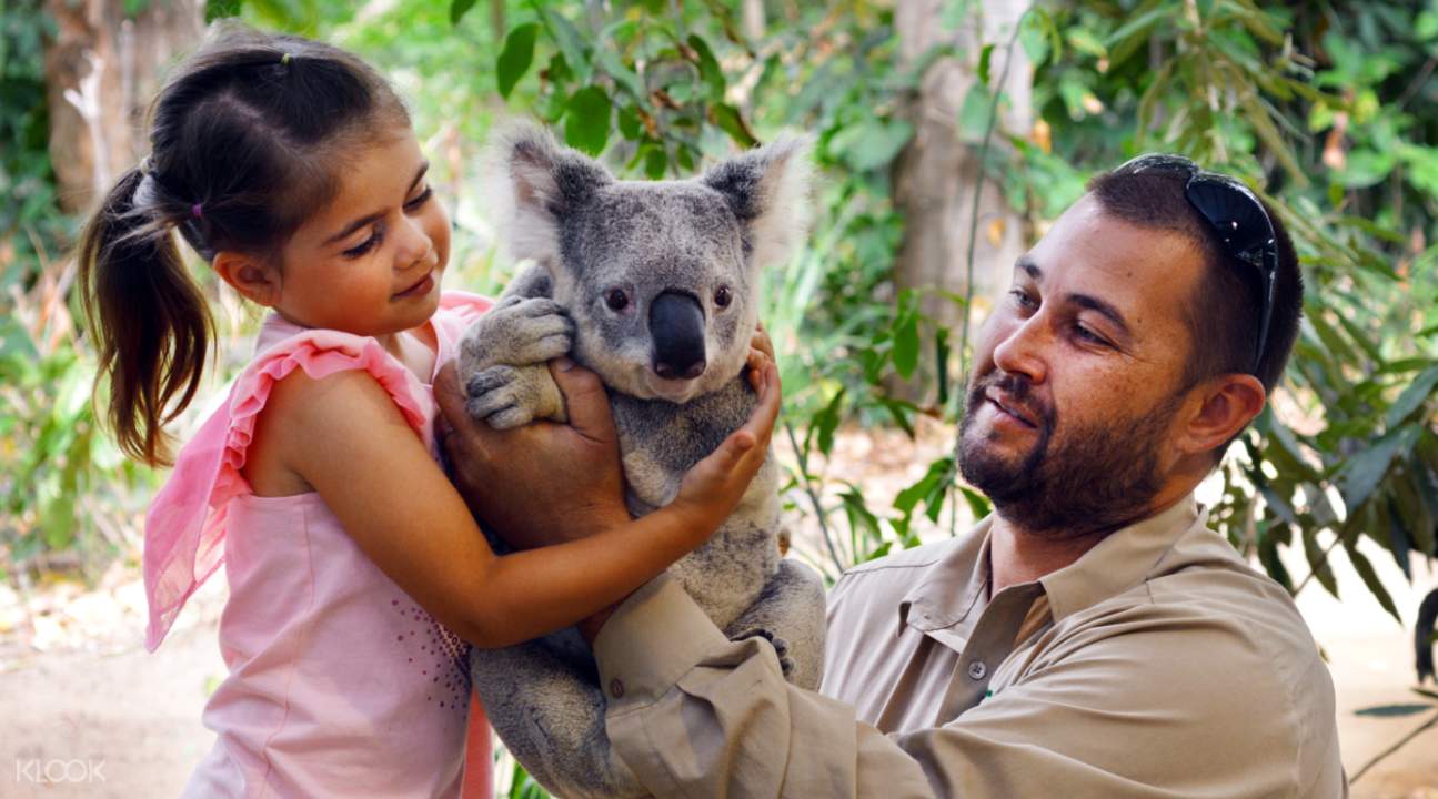  Visit the most popular zoo in Gold Coast