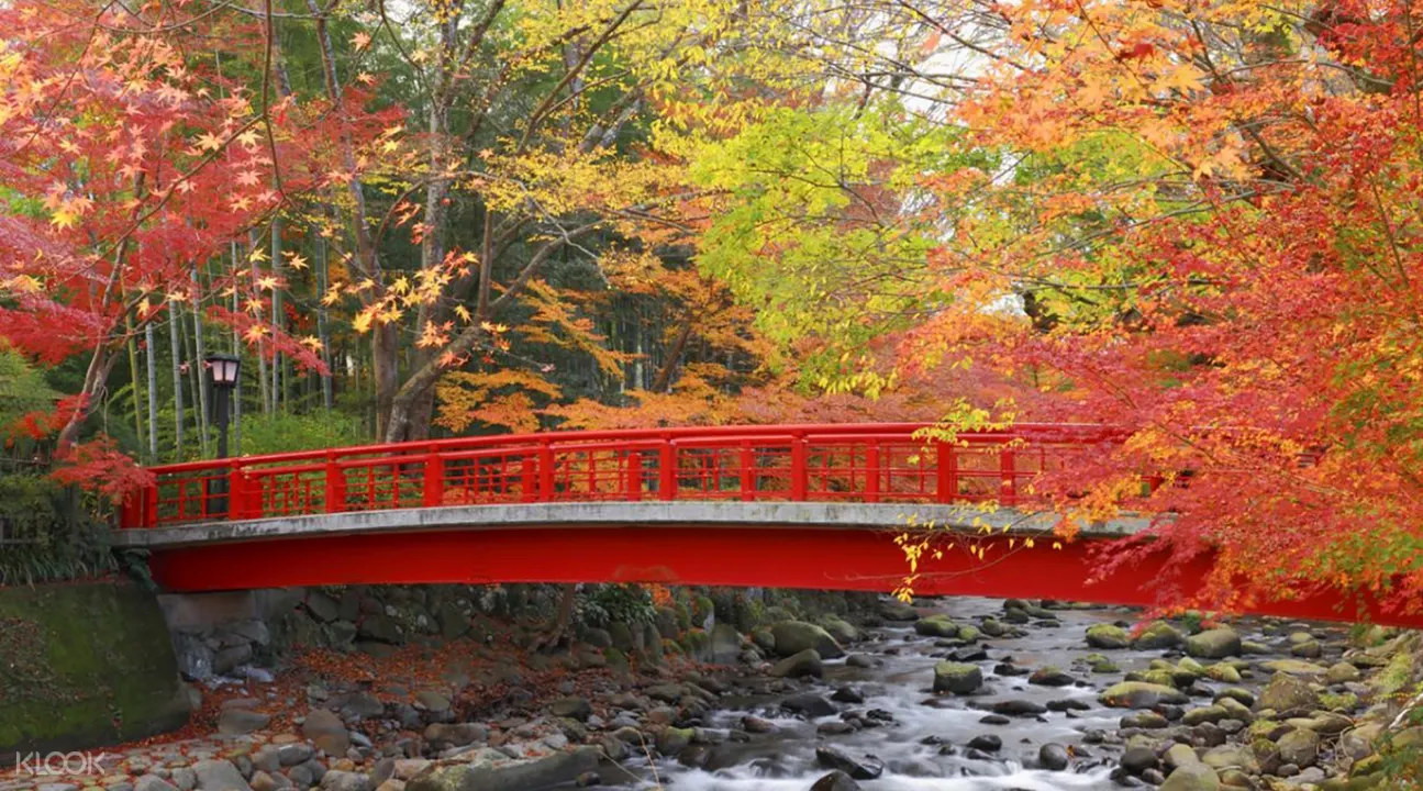 伊豆赏红叶修善寺虹之乡 三岛sky Walk 御殿场outlets一日游 东京出发 Klook客路