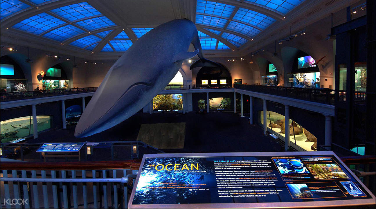 American museum of natural history ticket in new york klook uk
