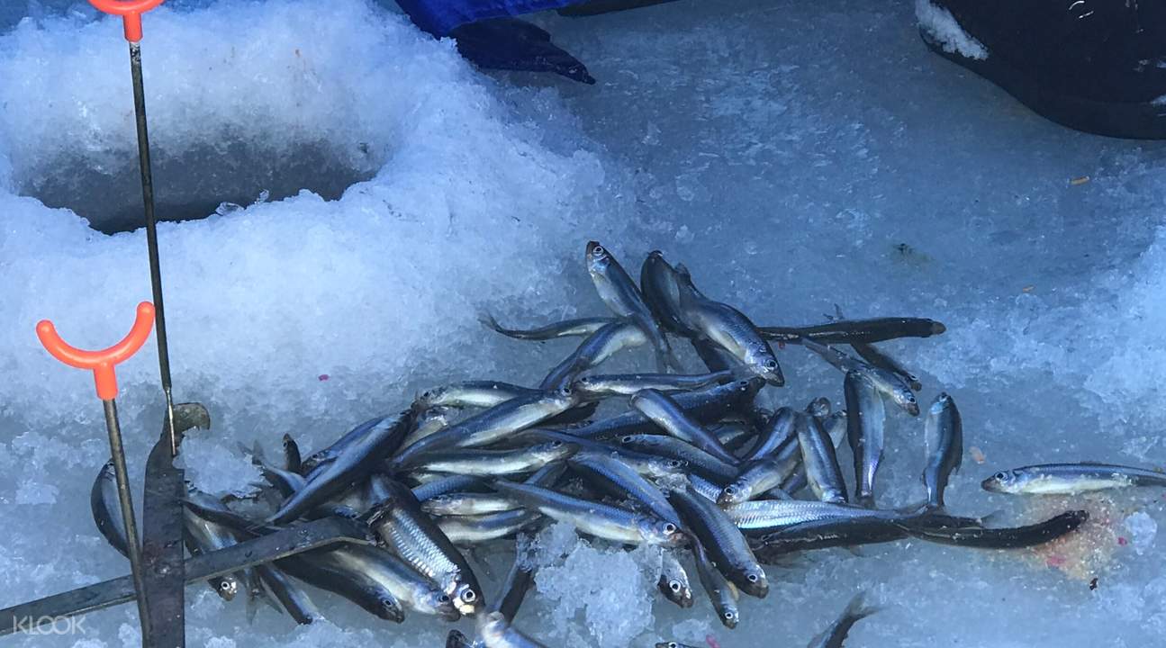 Smelt Ice Fishing at Lake Abashiri in Hokkaido