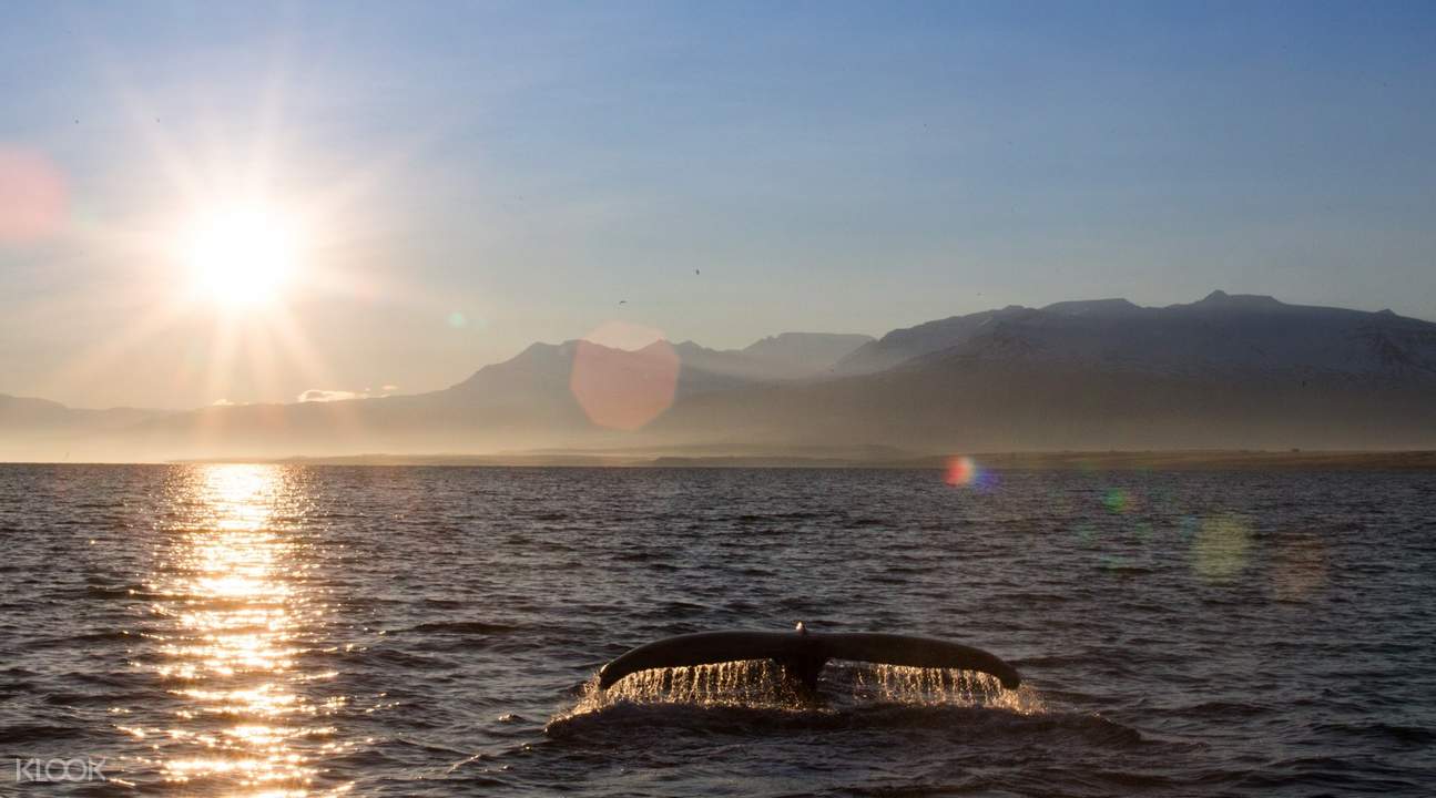 冰岛北海岸美食美景体验 Klook客路中国