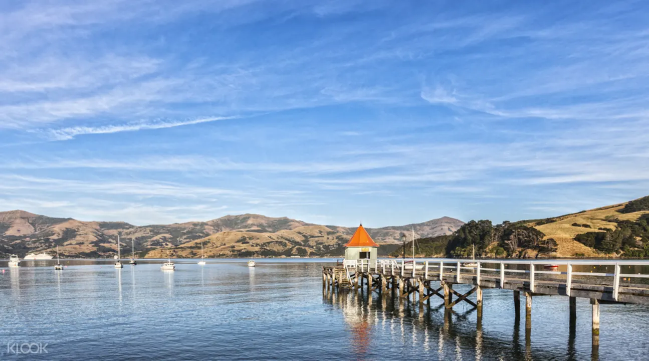 Akaroa Harbour Nature Cruise Klook Australia