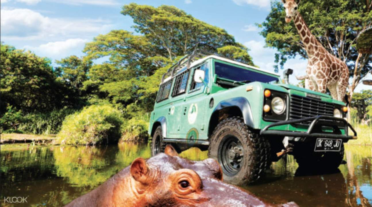 Bali Safari Park