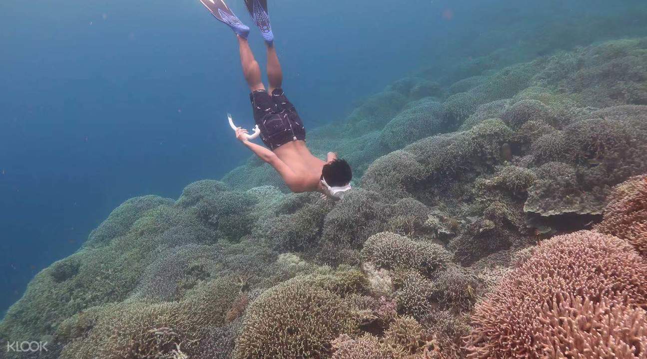 Pescador Island Hopping Private Tour from Cebu, Mandaue, Lapu Lapu, and