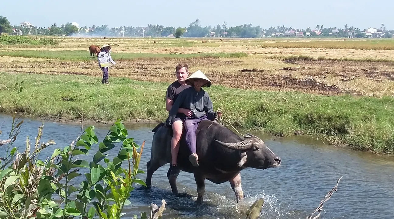 man riding buffalo