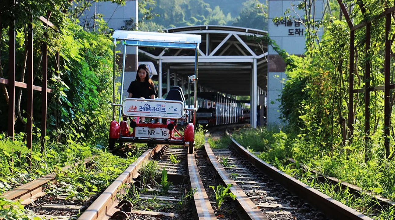 Canola Flower Festival and Gimhae Nakdong River Rail Bike Trip
