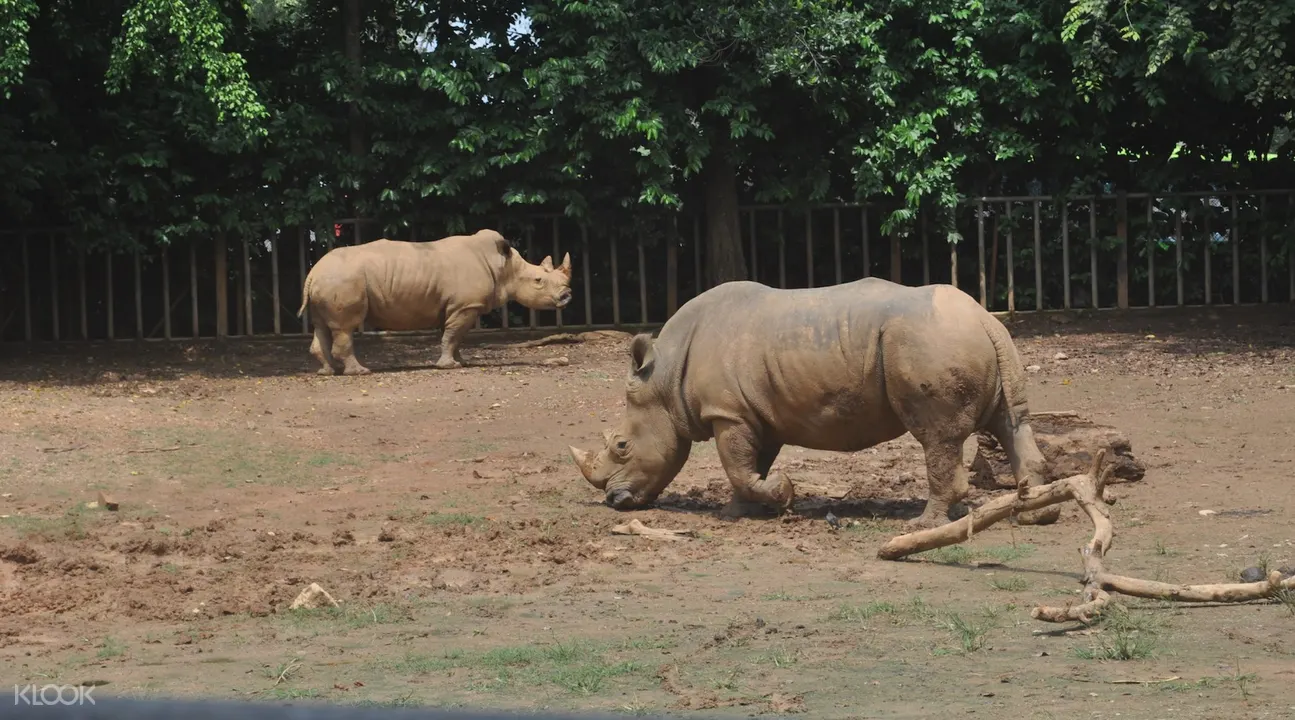 Melaka Zoo Admission Ticket Klook Malaysia